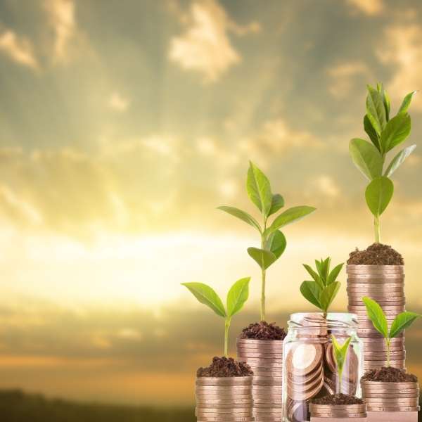 wymiar-swobody-tworczej-w-ramach-tworzenia-wzoru-przemyslowego-600